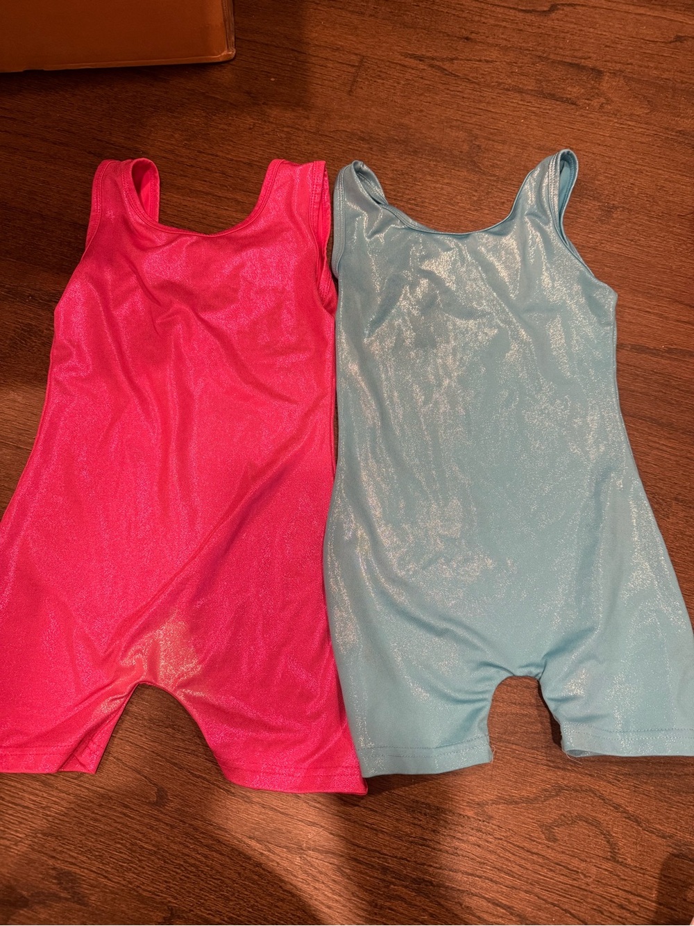 Two Sparkly Leotards